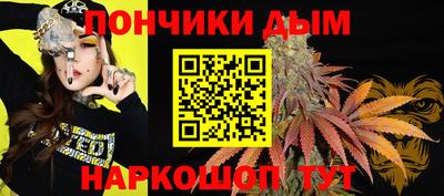 наркотики Сланцы