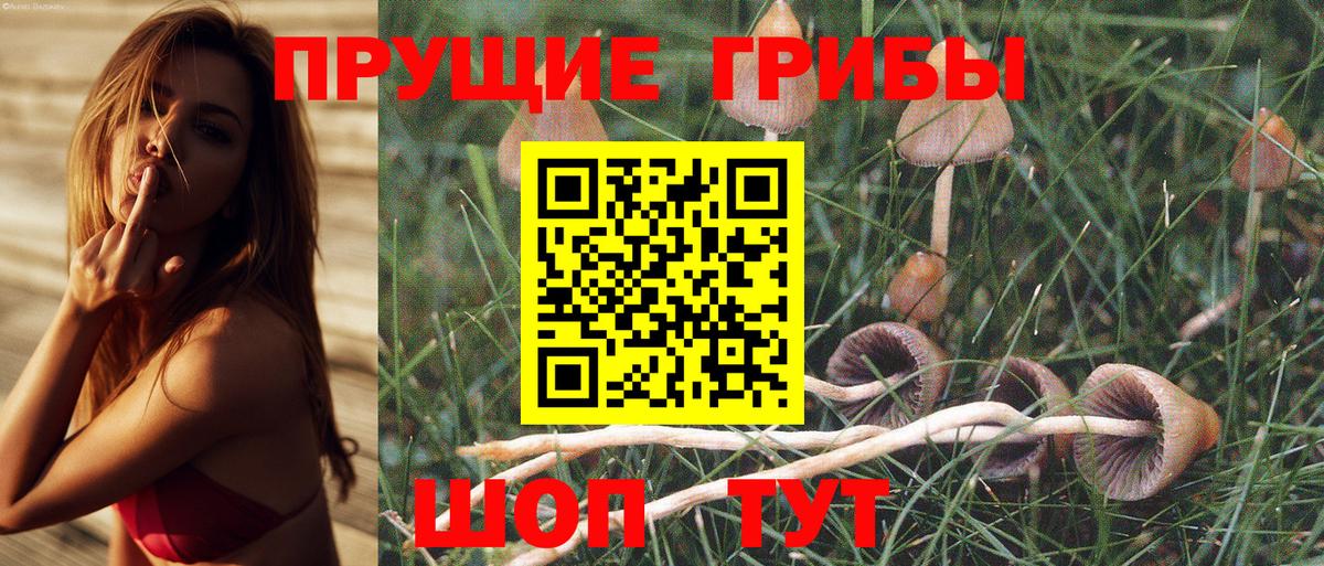 Сегежа  Конопля  Вход с VPN  LSD-25  MDMA  Меф МЯУ МЯУ   ГАШИШ  Кокаин 