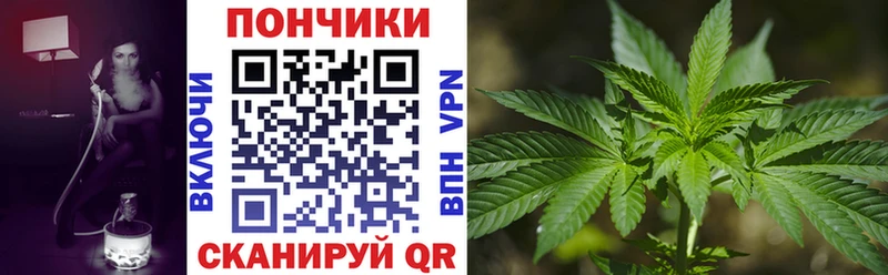 OMG как войти  магазин продажи   Сегежа  Бошки Шишки планчик 